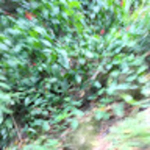 Meet your Posher, Anna lisa